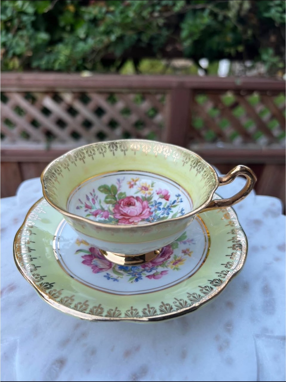 Regency Bone China Floral Teacup and Saucer Set